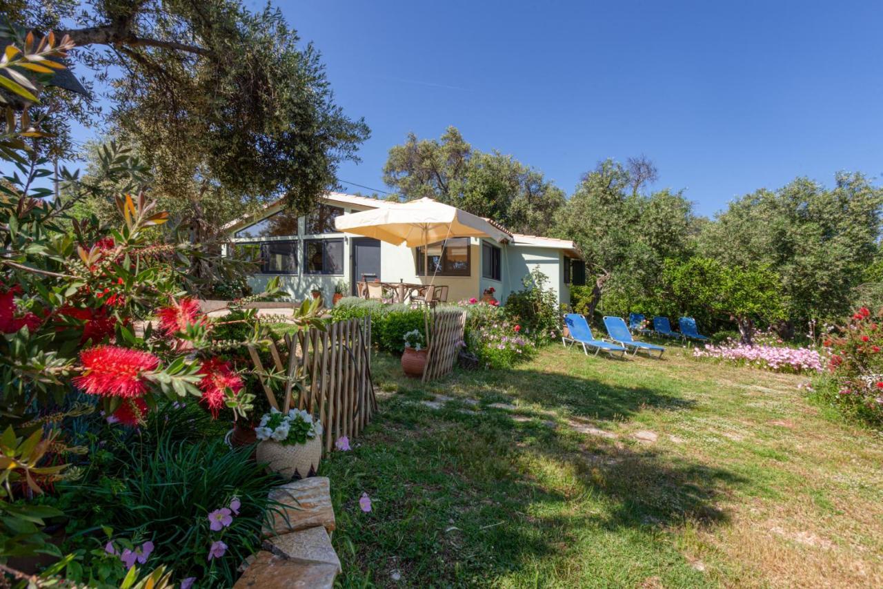 הוילה קאסיופי Alesia'S House מראה חיצוני תמונה
